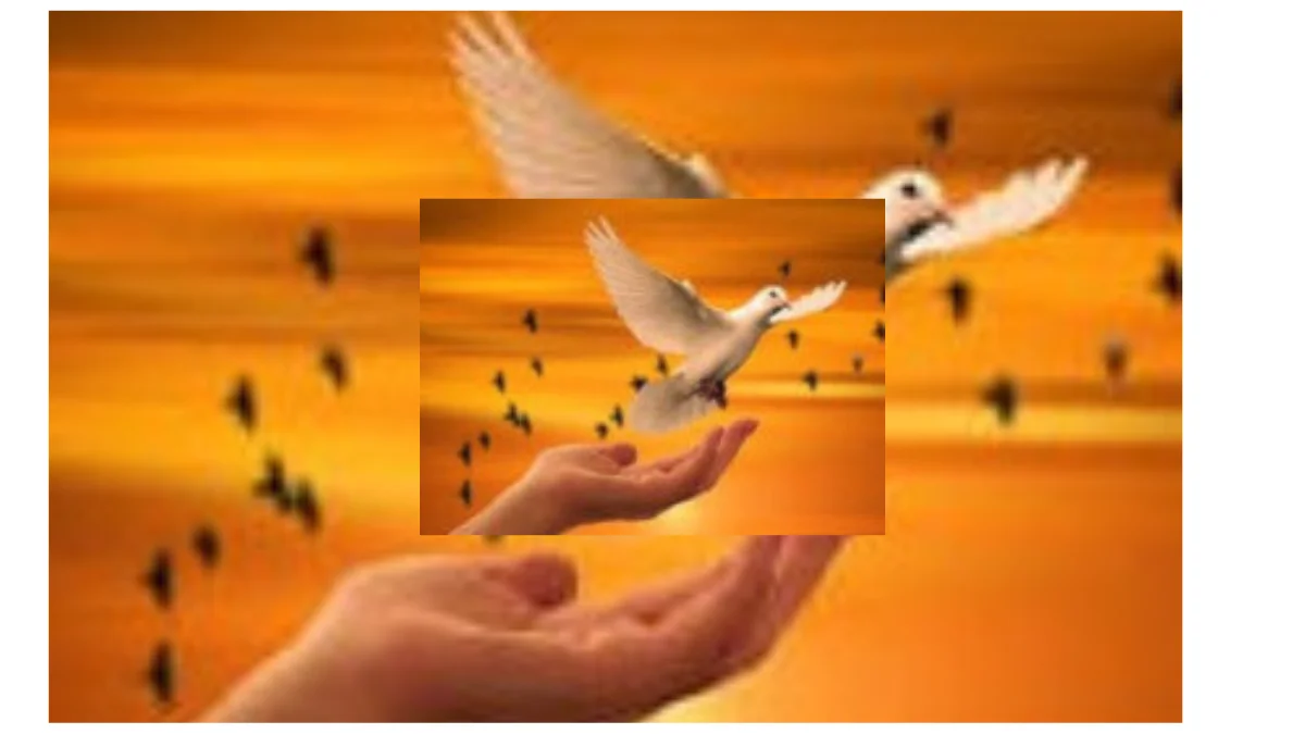 COMPARTECIPAZIONE ALLA REALIZZAZIONE DEL PROGRAMMA DELLE MANIFESTAZIONI IN OCCASIONE DELLA SETTIMANA SANTA 2026 IN ATTUAZIONE DELLA DELIBERAZIONE DELLA GIUNTA COMUNALE N. 19 DEL 19.03.2026